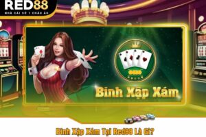 Binh Xập Xám Tại Red88 Là Gì?