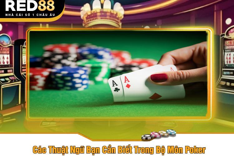 Các Thuật Ngữ Bạn Cần Biết Trong Bộ Môn Poker