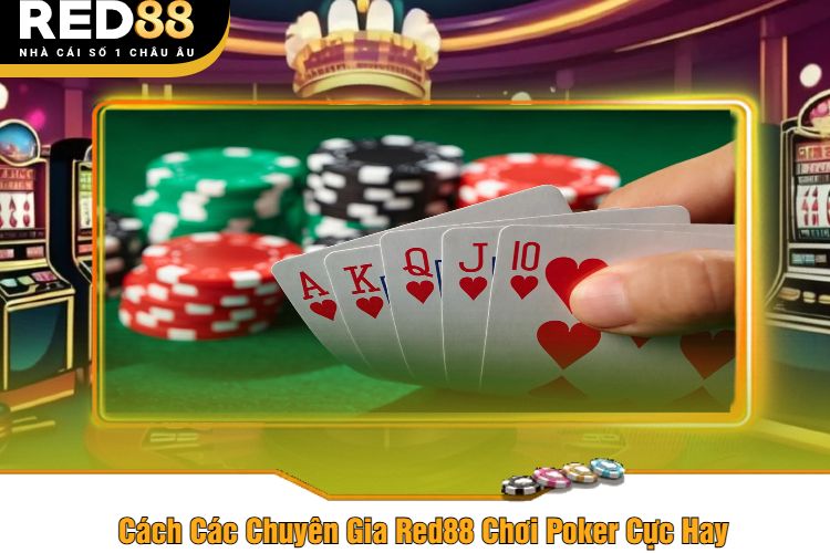 Cách Các Chuyên Gia Red88 Chơi Poker Cực Hay