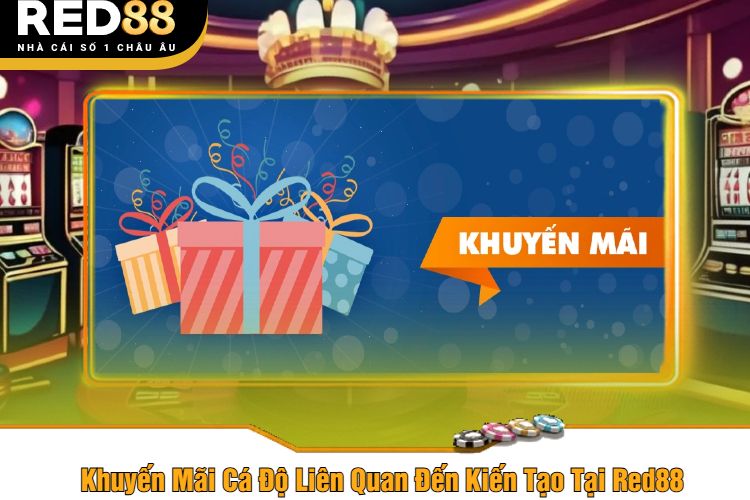 Khuyến Mãi Cá Độ Liên Quan Đến Kiến Tạo Tại Red88