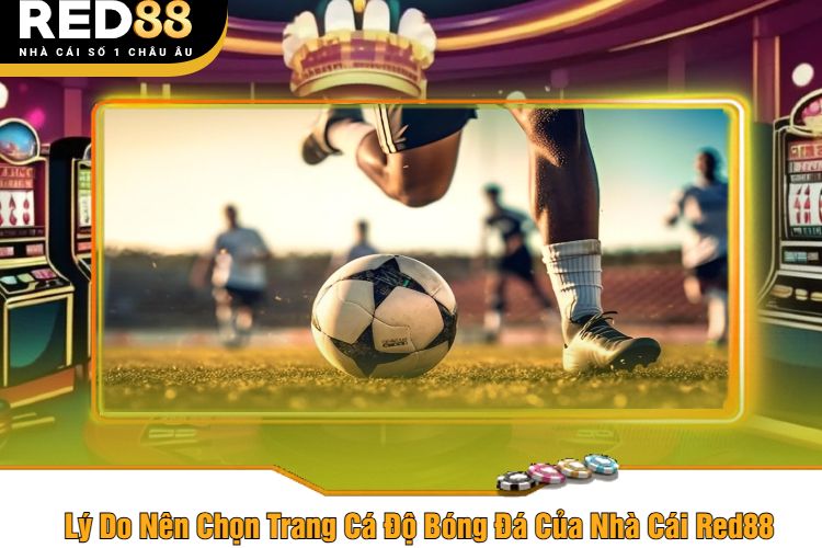 Lý Do Nên Chọn Trang Cá Độ Bóng Đá Của Nhà Cái Red88