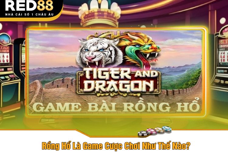 Rồng Hổ Là Game Cược Chơi Như Thế Nào?