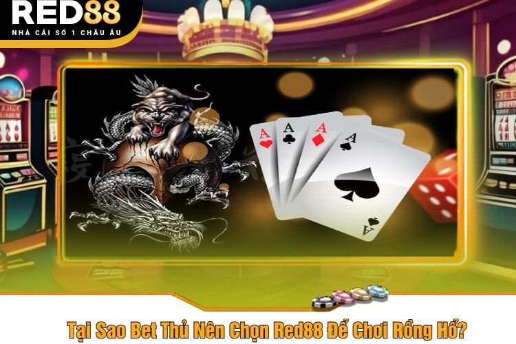 Tại Sao Bet Thủ Nên Chọn Red88 Để Chơi Rồng Hổ?